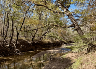 158.8 Acres Creek Frontage Clay County MS