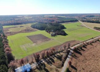 118± Acre Portage County WI Ag and Hunting Property