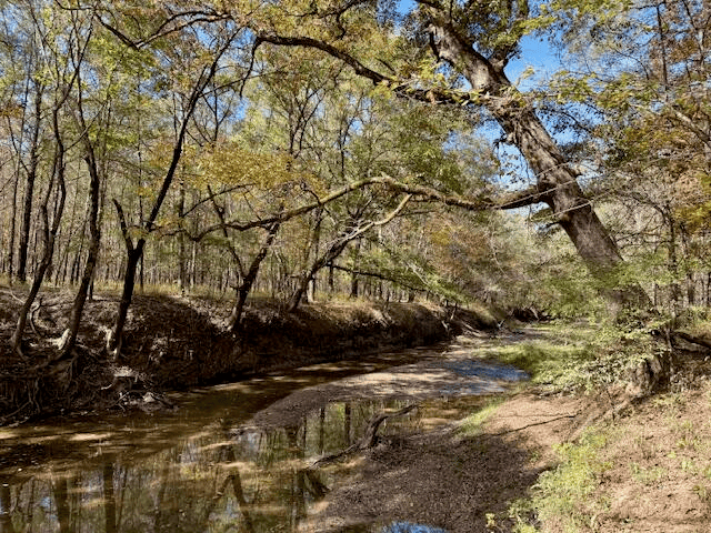 158.8 Acres Creek Frontage Clay County MS
