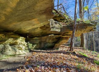 Windy Ridge – Conservation Homestead – 187 ± Acres in Monroe County’s Driftless Area of Wisconsin