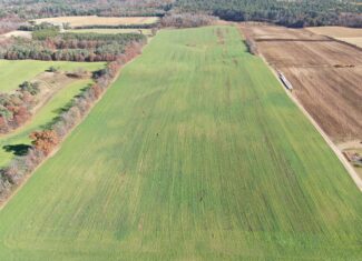 75± Acres of Productive Farmland Property in Portage County, WI