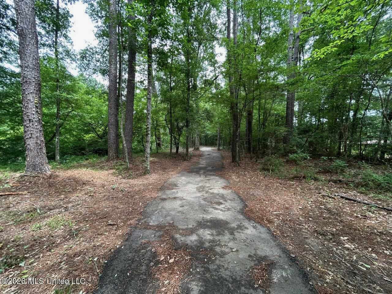 113± Acres for Sale in Osyka, MS on Tickfaw River