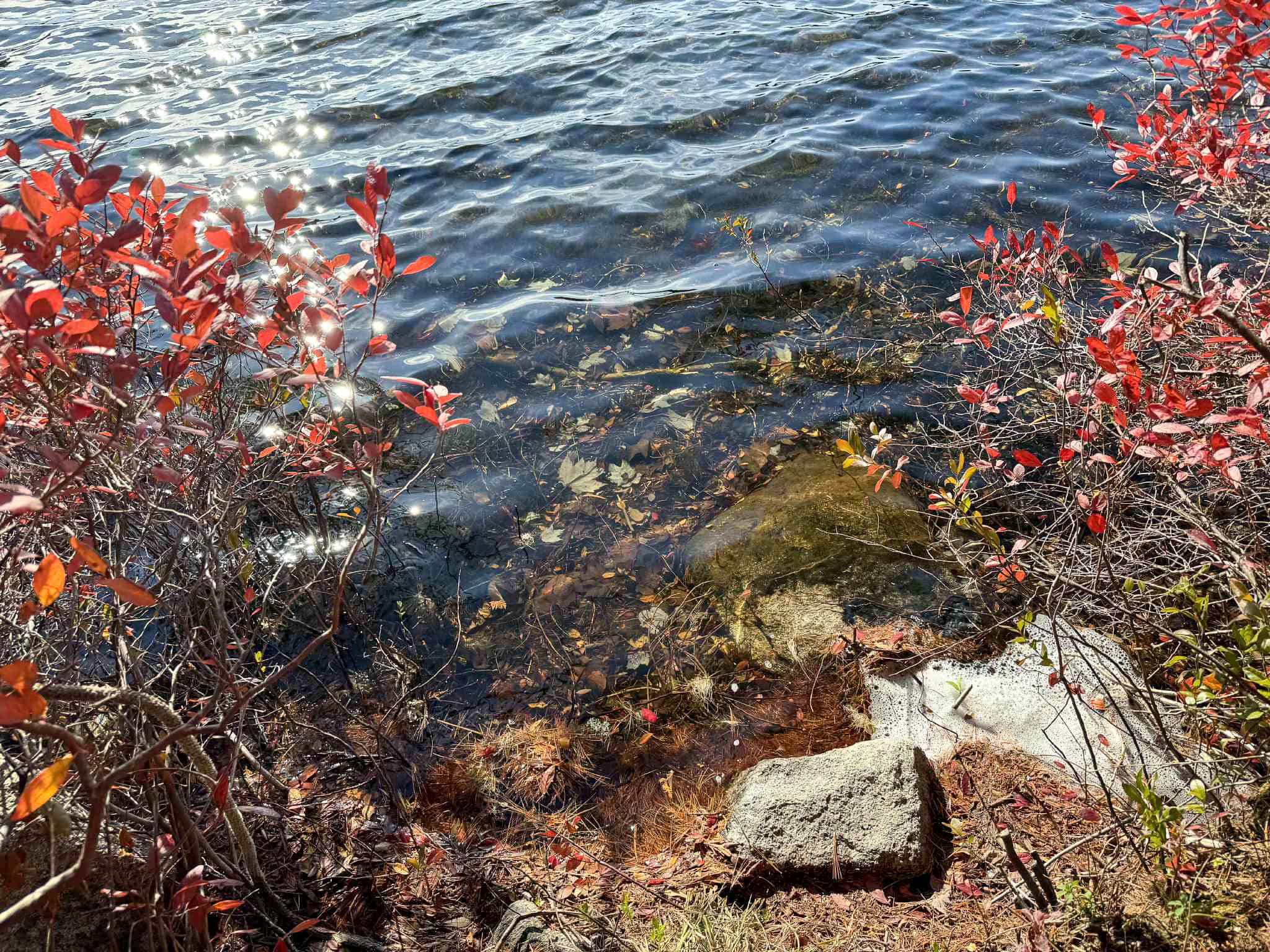 41 Acres with 1330 Ft on Long Lake – Northfield, ME