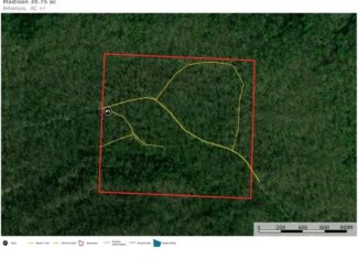 39.75 Newton County Hunting Land/Timber Property For Sale Low Gap