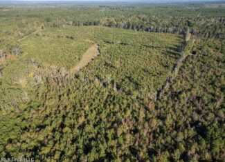113 Acres of Hunting Land in Liberty, Mississippi