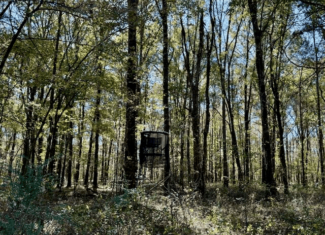 76 Acres For Sale Clay County MS