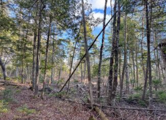 13.9 Acre Surveyed Parcel – Passadumkeag, Maine