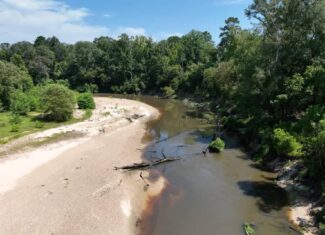 108+- Acres on the Bogue Chitto River Summit, Mississippi