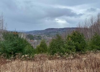82 Acres with a Mountain View – Strong, Maine