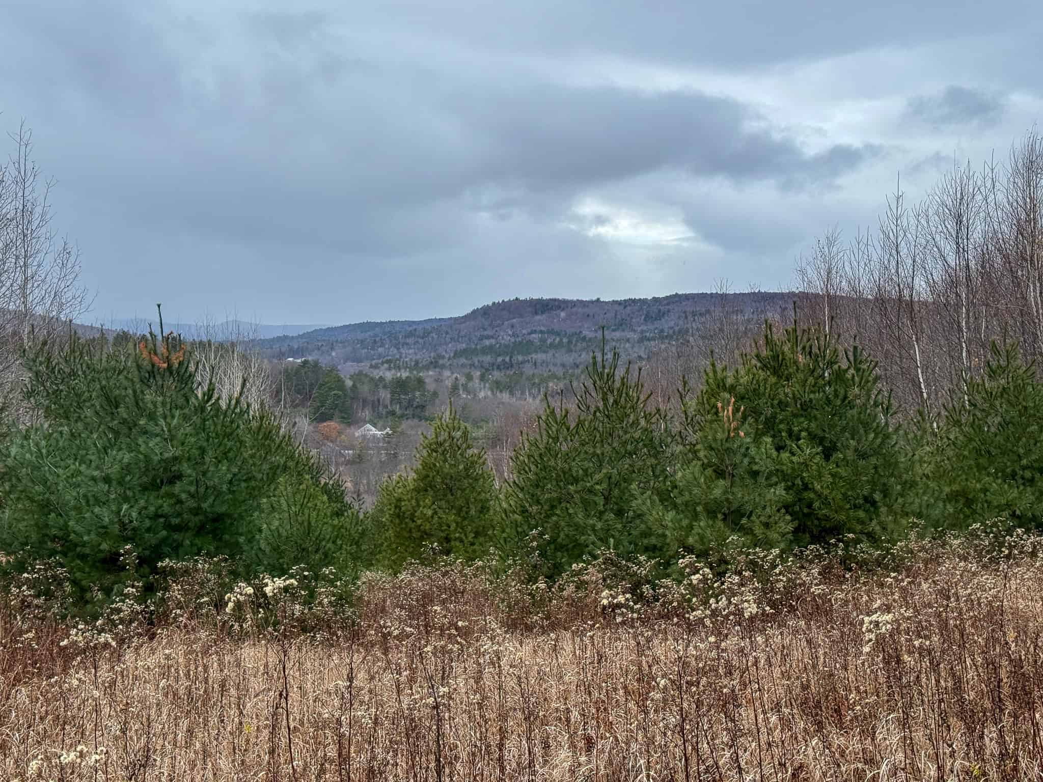 82 Acres with a Mountain View – Strong, Maine