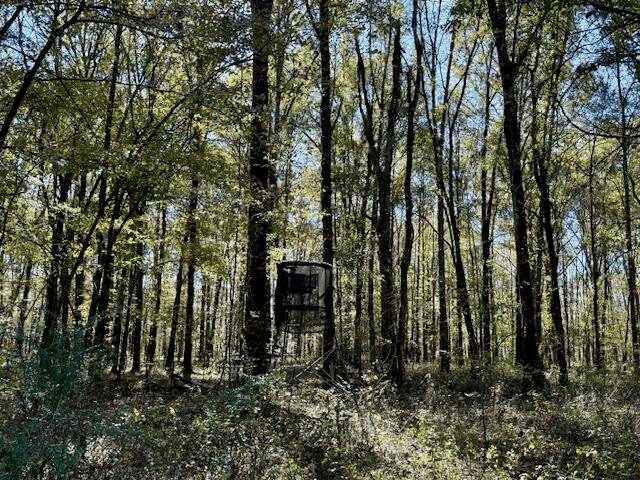 76 Acres For Sale Clay County MS