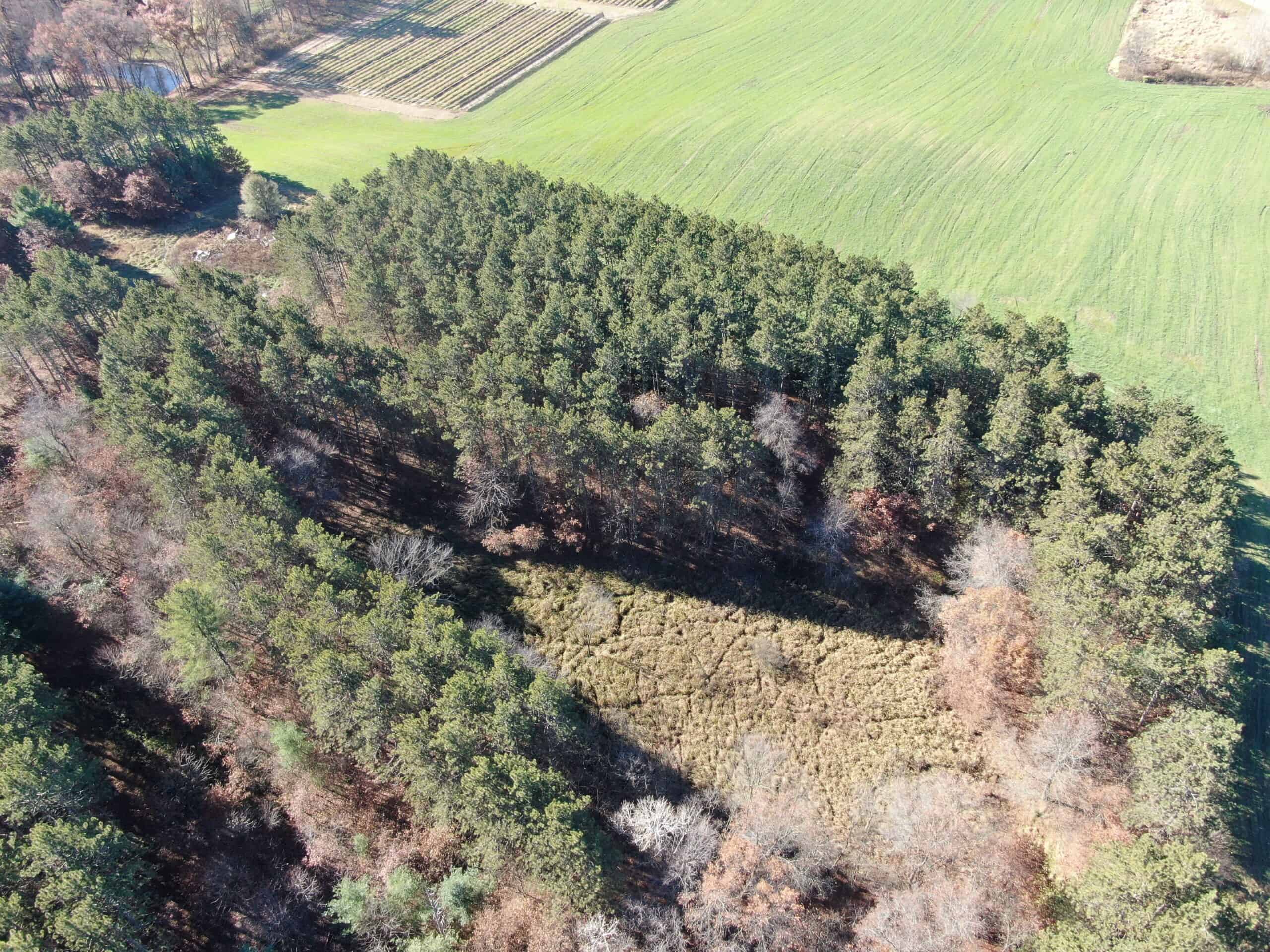 118± Acre Portage County WI Ag and Hunting Property