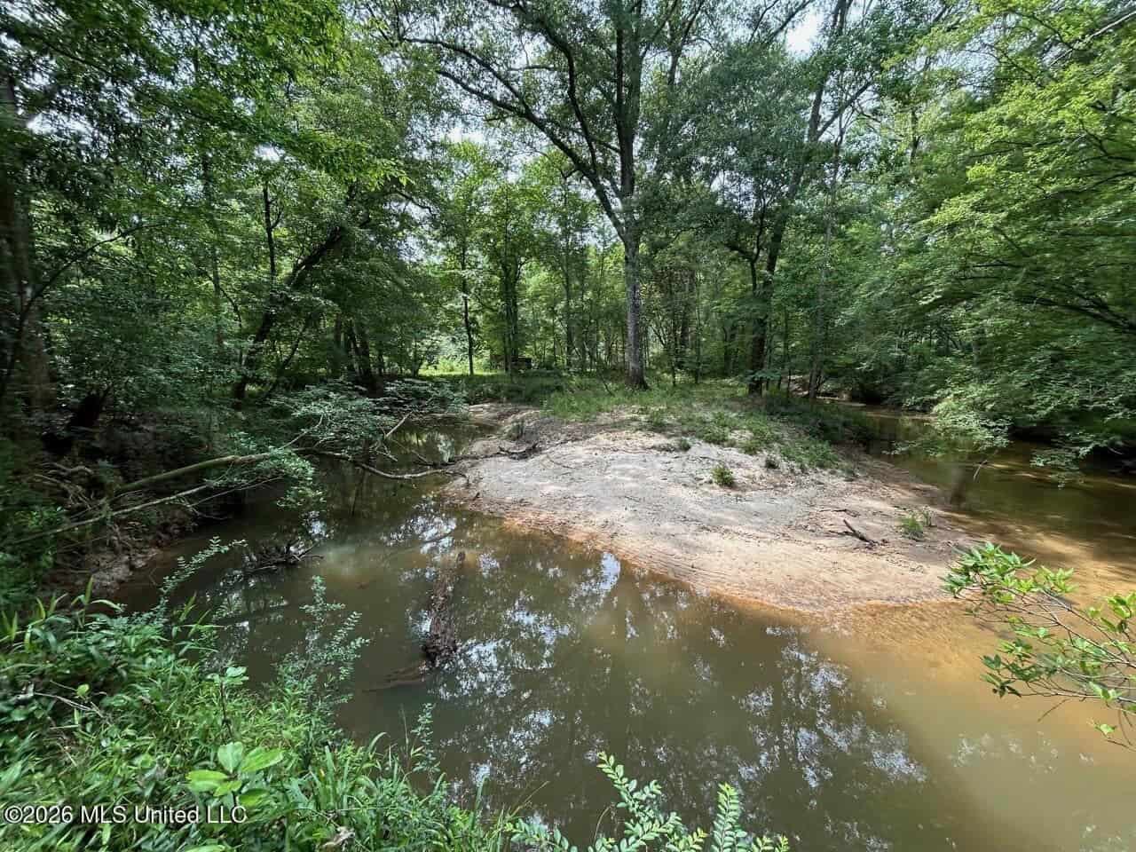 113± Acres for Sale in Osyka, MS on Tickfaw River