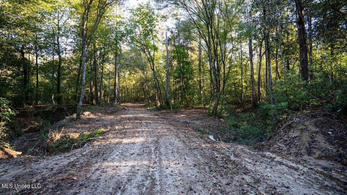 233-Acre Paradise on the Tickfaw River, Osyka, Amite County, MS
