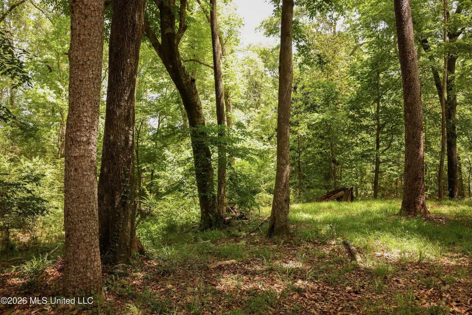108+- Acres on the Bogue Chitto River Summit, Mississippi