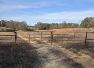 🌾 400 Acres of Prime Ranch Land – McCurtain County, OK