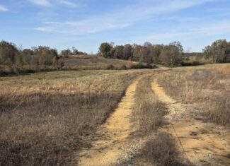 🌾 400 Acres of Prime Ranch Land – McCurtain County, OK