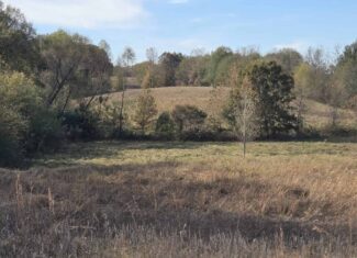 🌾 400 Acres of Prime Ranch Land – McCurtain County, OK