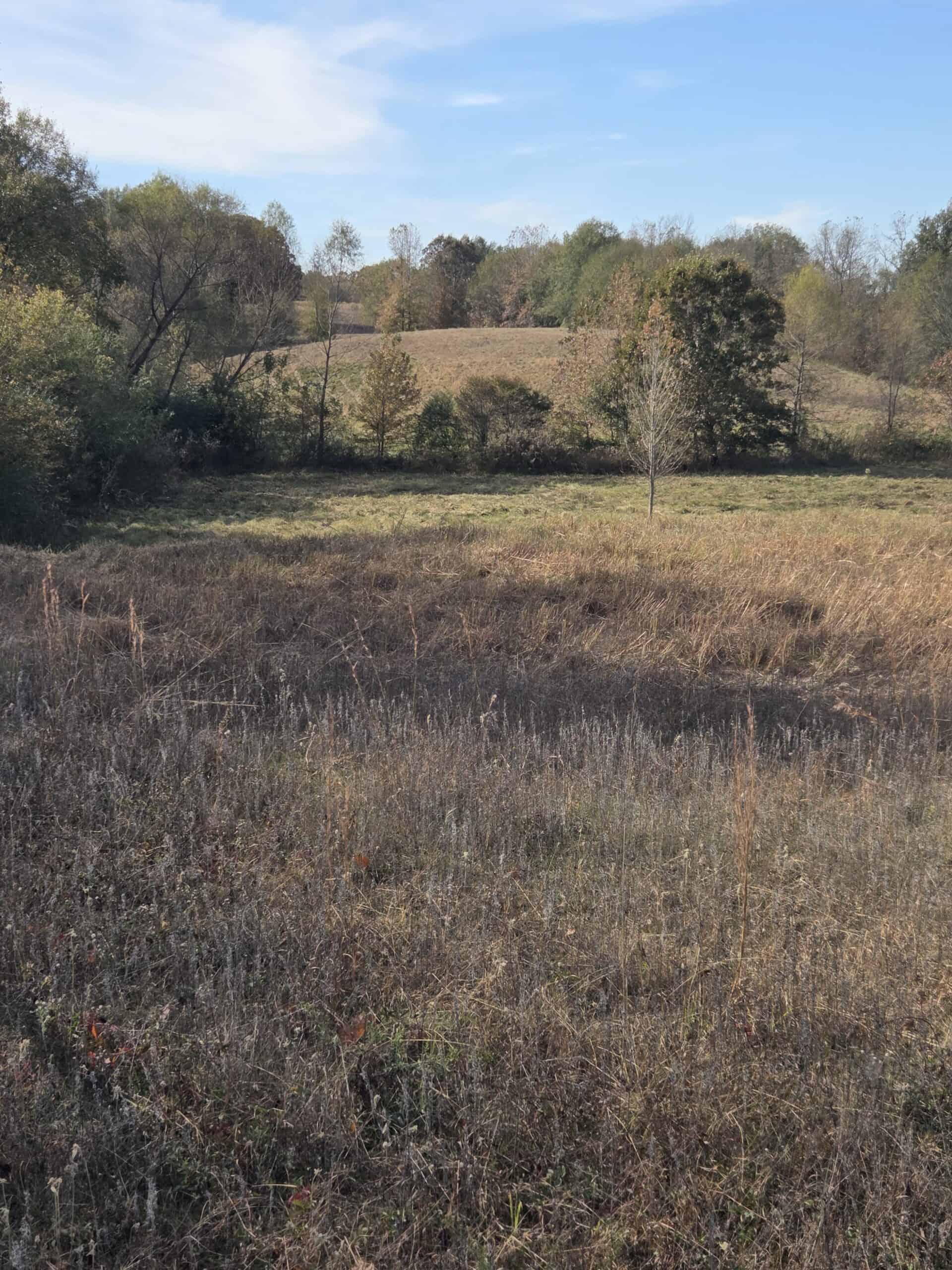 🌾 400 Acres of Prime Ranch Land – McCurtain County, OK