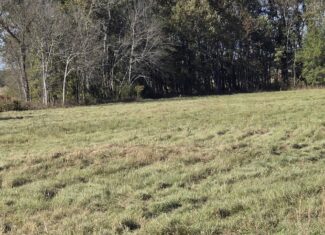 🌾 400 Acres of Prime Ranch Land – McCurtain County, OK
