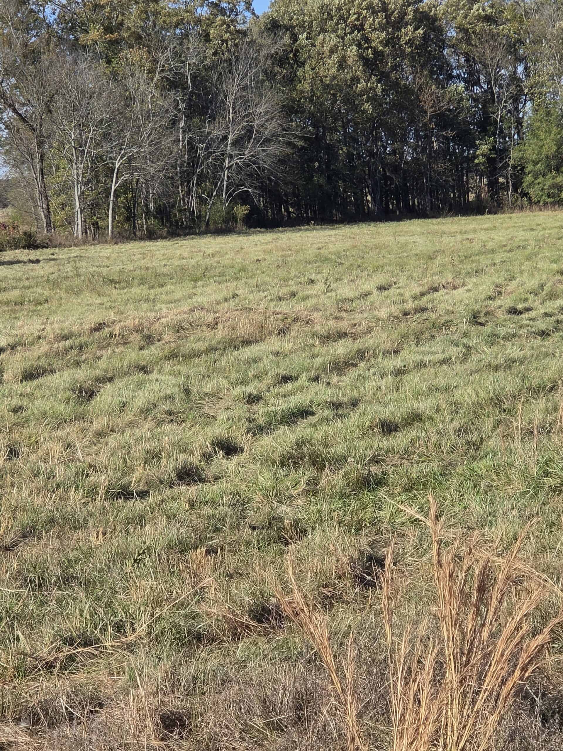 🌾 400 Acres of Prime Ranch Land – McCurtain County, OK