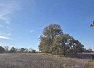 🌾 400 Acres of Prime Ranch Land – McCurtain County, OK