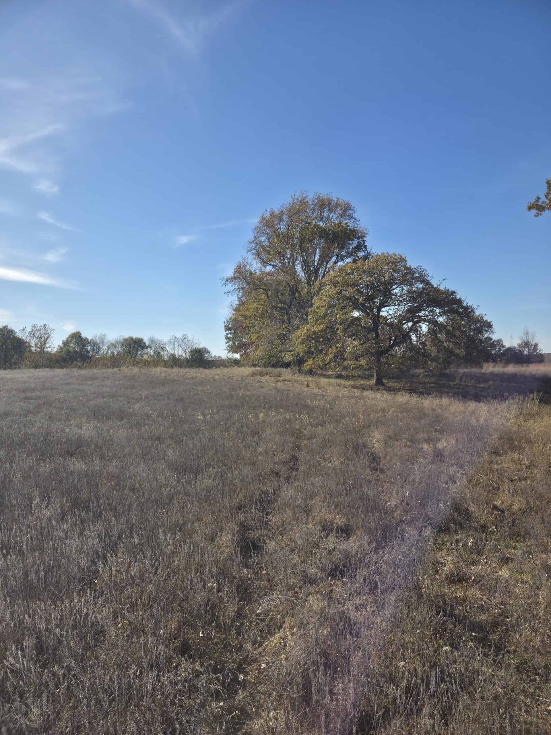 🌾 400 Acres of Prime Ranch Land – McCurtain County, OK