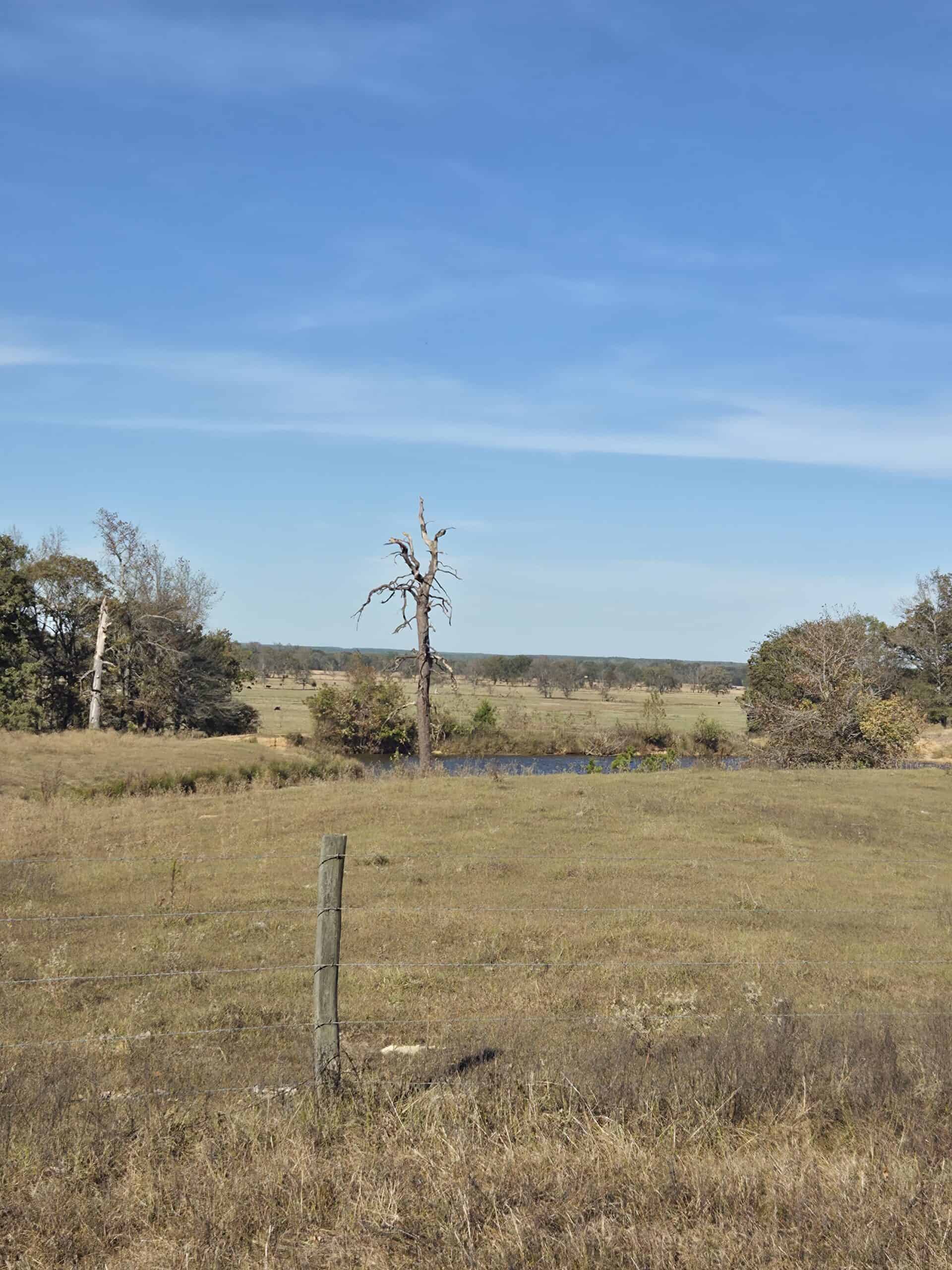 🌾 400 Acres of Prime Ranch Land – McCurtain County, OK