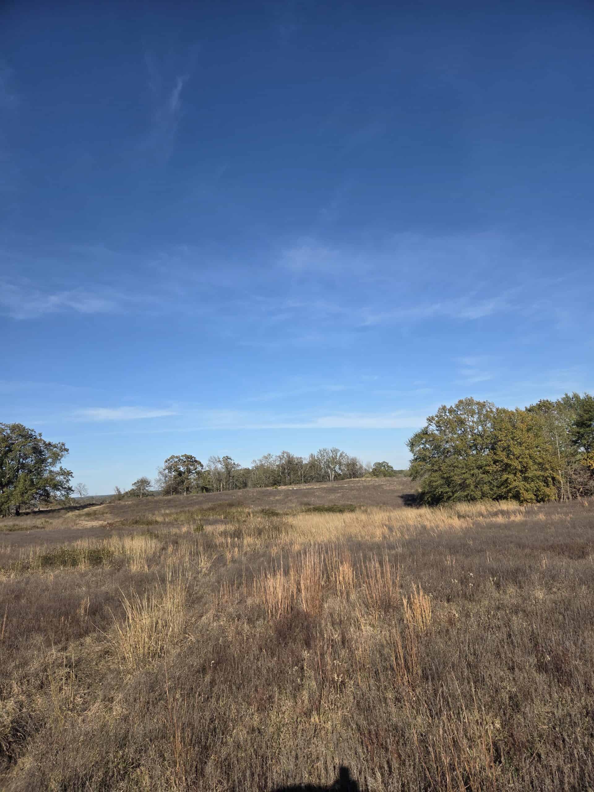 🌾 400 Acres of Prime Ranch Land – McCurtain County, OK