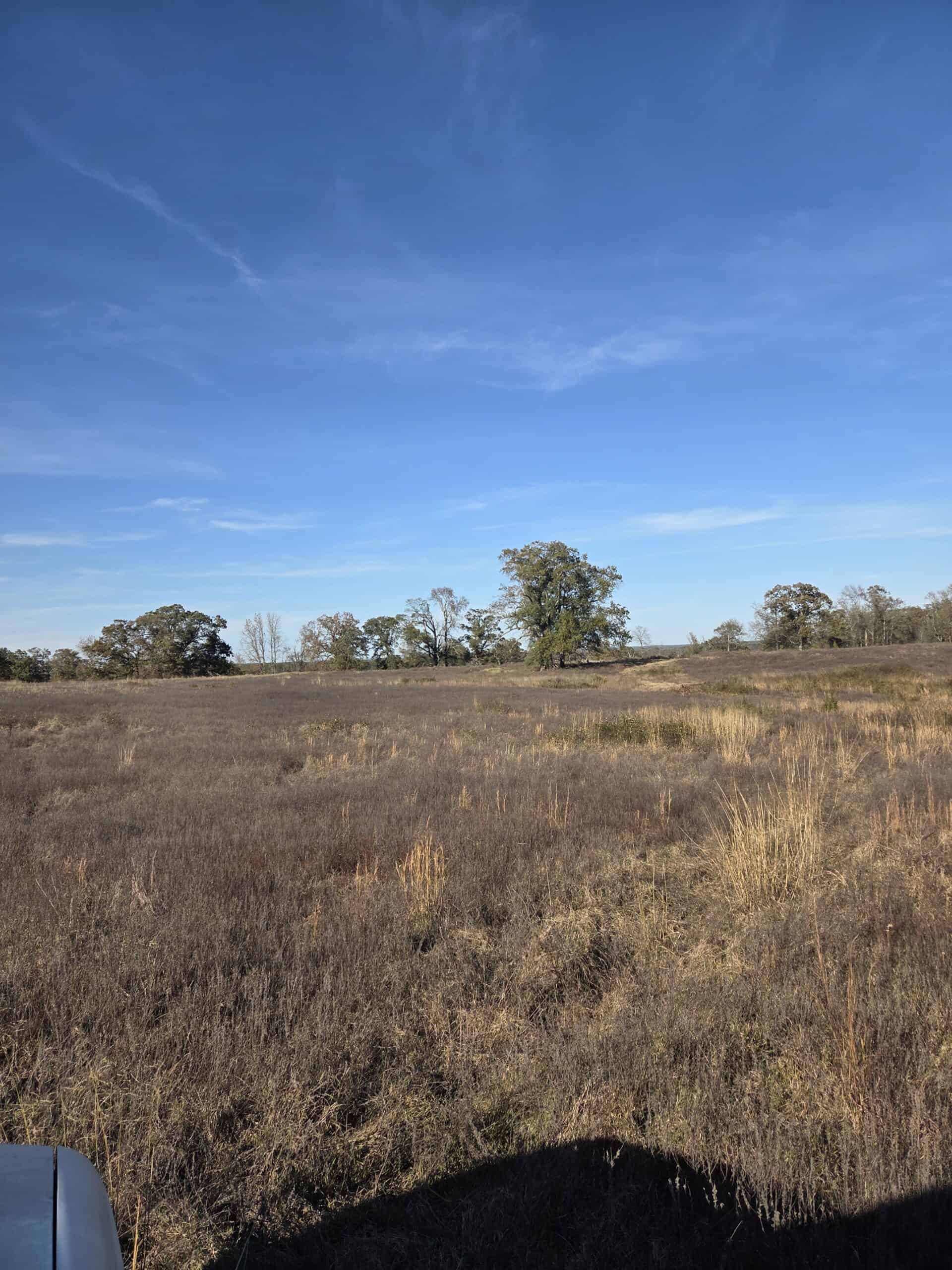 🌾 400 Acres of Prime Ranch Land – McCurtain County, OK