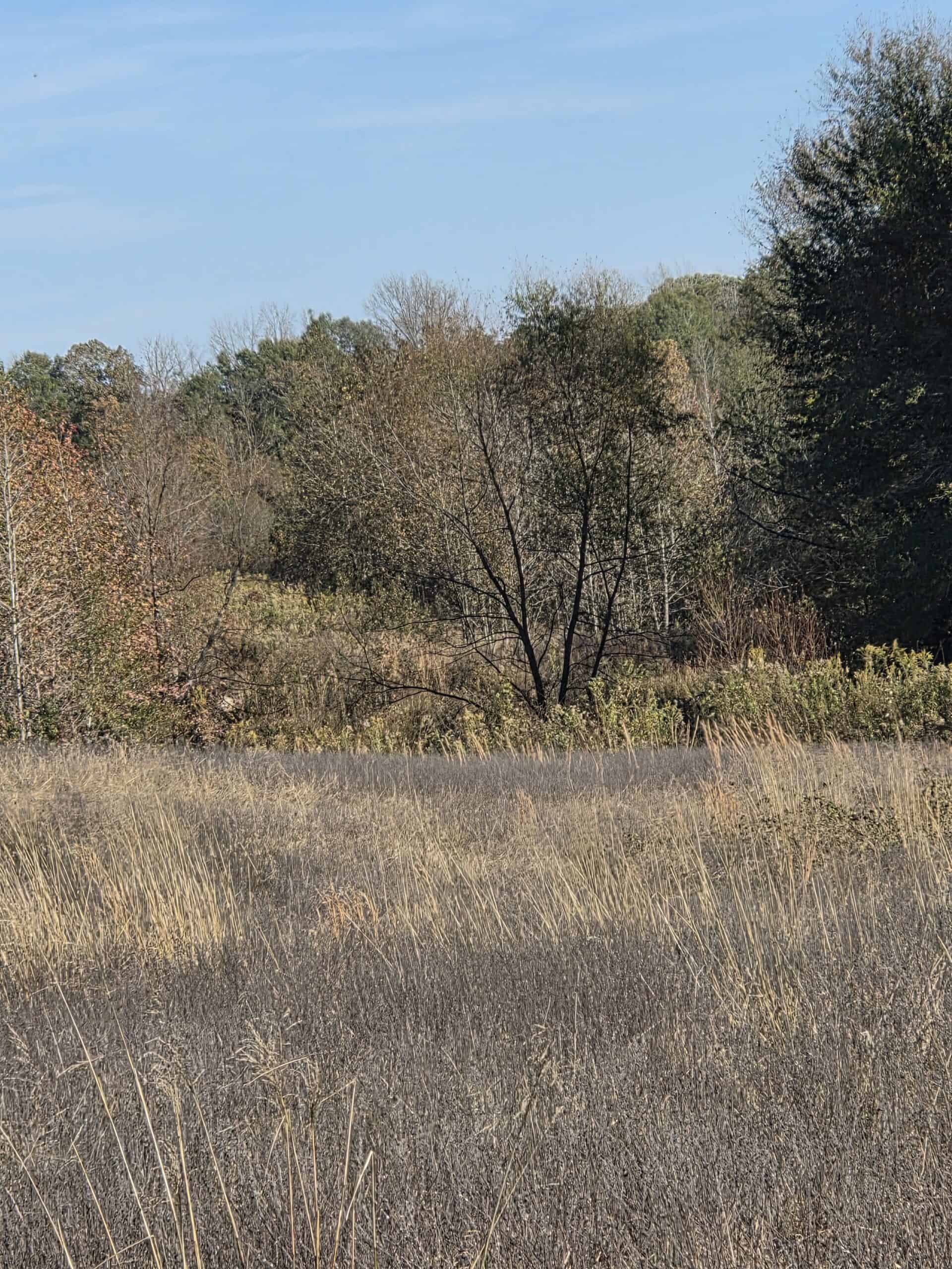 🌾 400 Acres of Prime Ranch Land – McCurtain County, OK