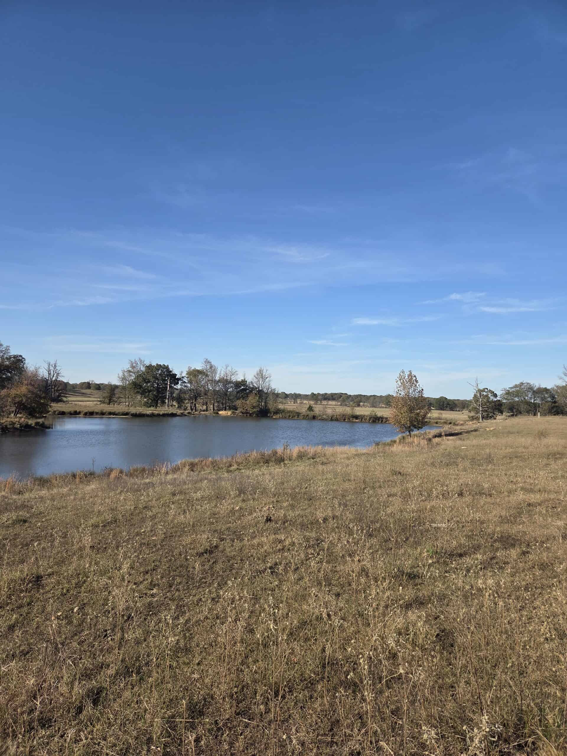 🌾 400 Acres of Prime Ranch Land – McCurtain County, OK
