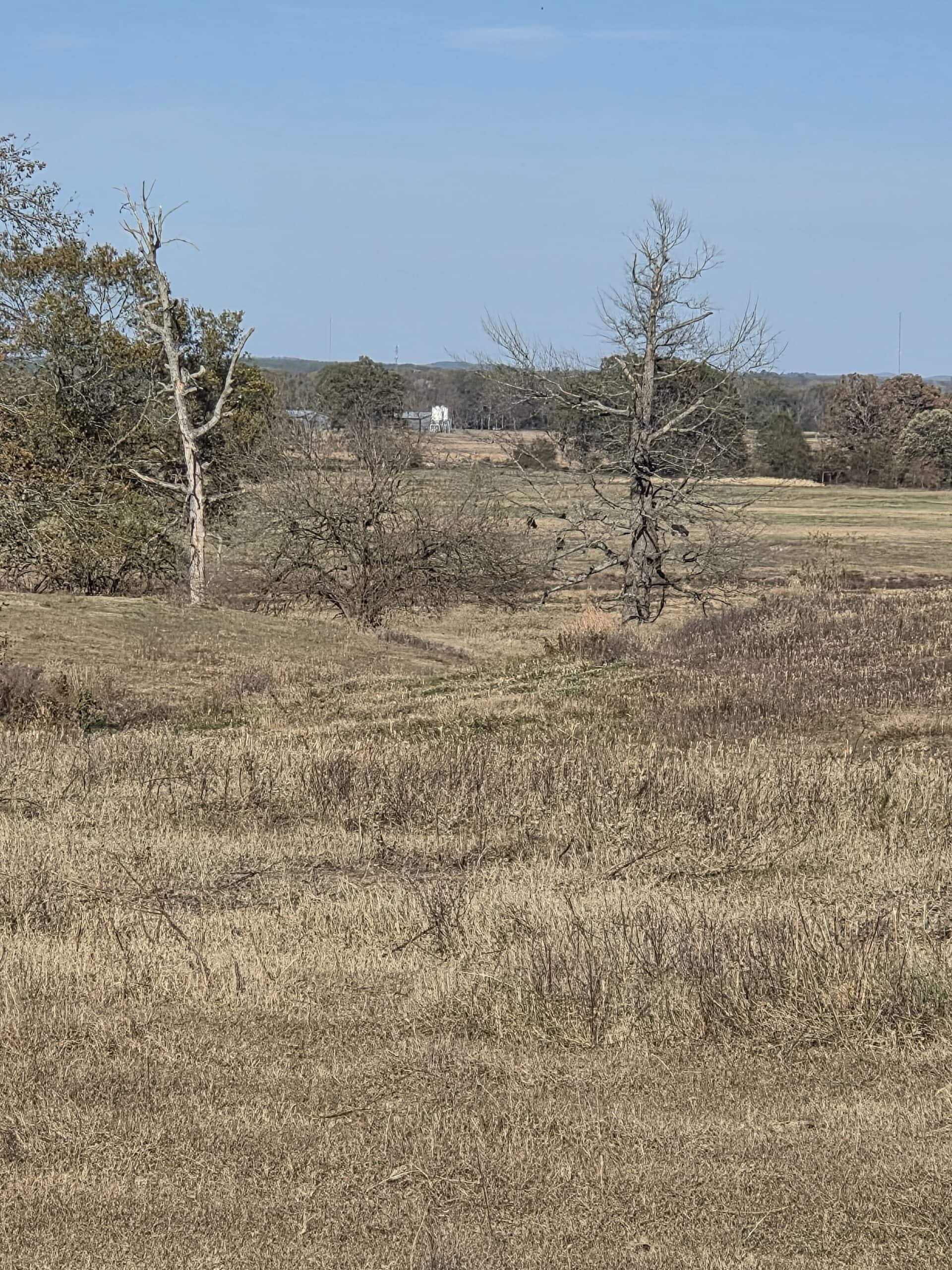 🌾 400 Acres of Prime Ranch Land – McCurtain County, OK