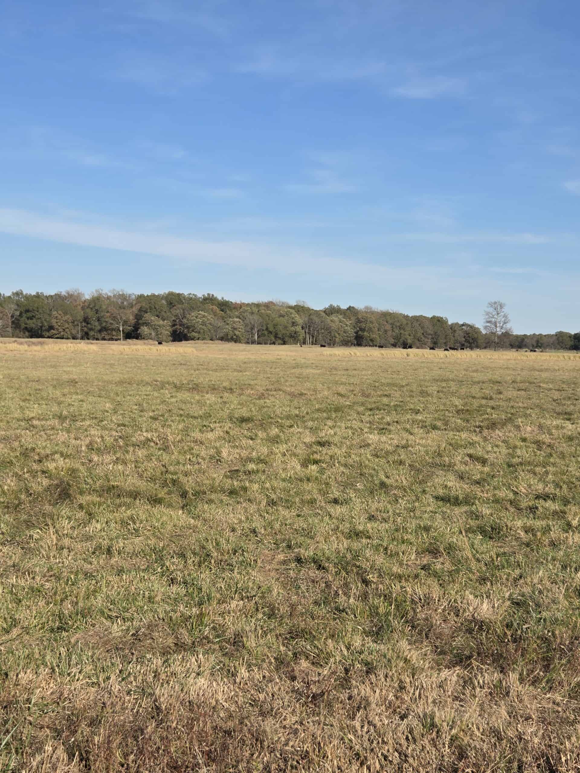 🌾 400 Acres of Prime Ranch Land – McCurtain County, OK