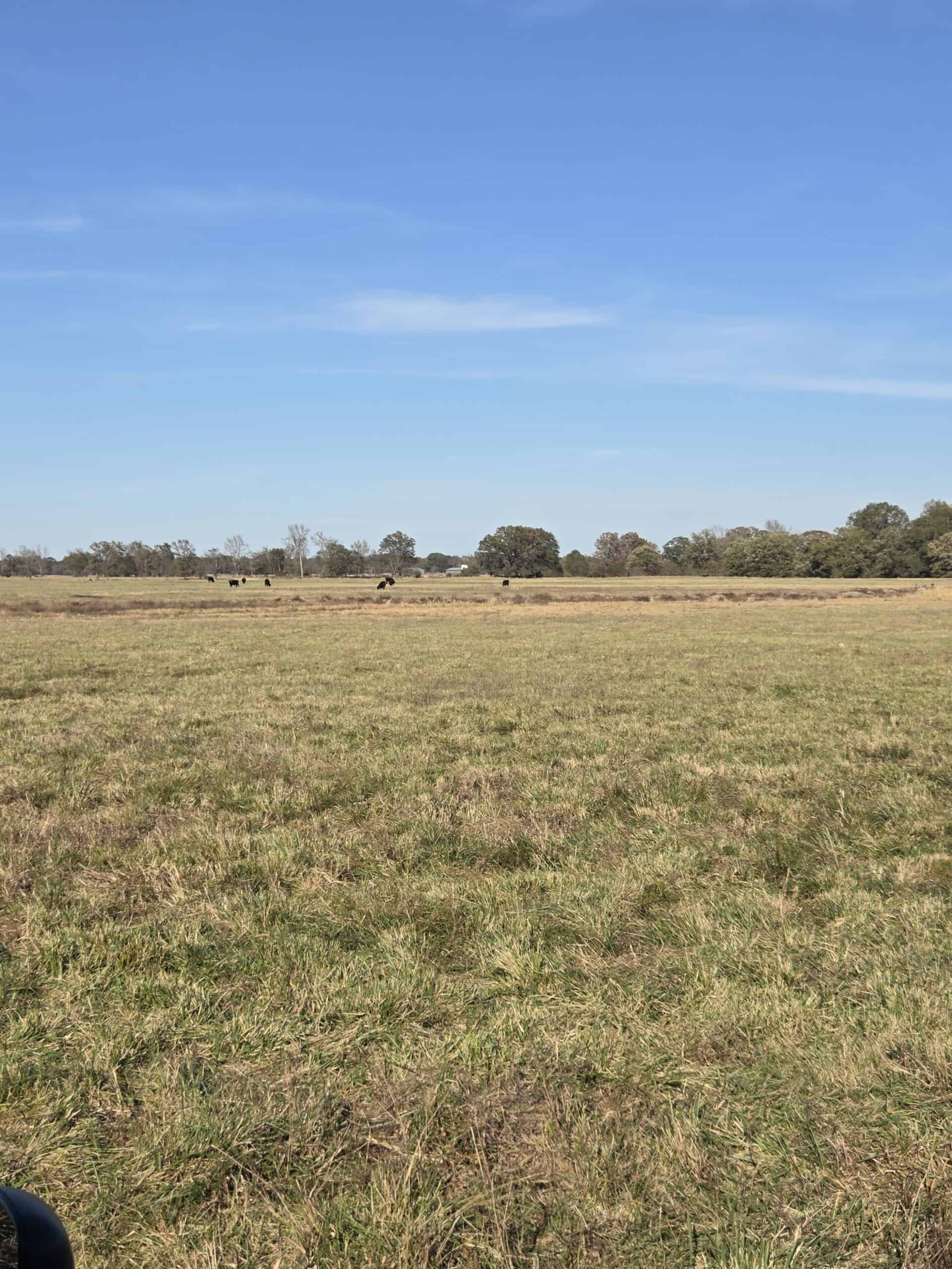 🌾 400 Acres of Prime Ranch Land – McCurtain County, OK