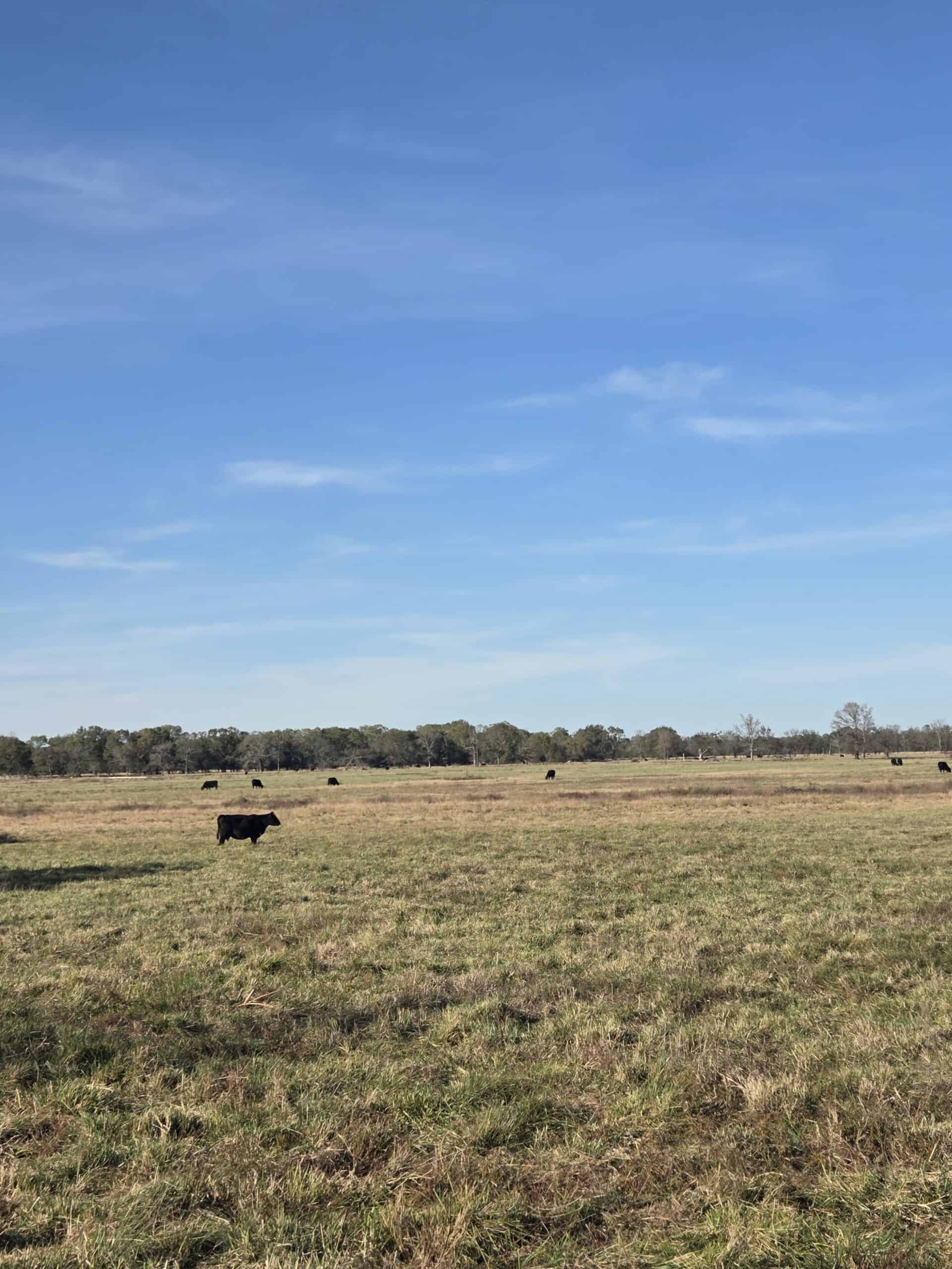 🌾 400 Acres of Prime Ranch Land – McCurtain County, OK