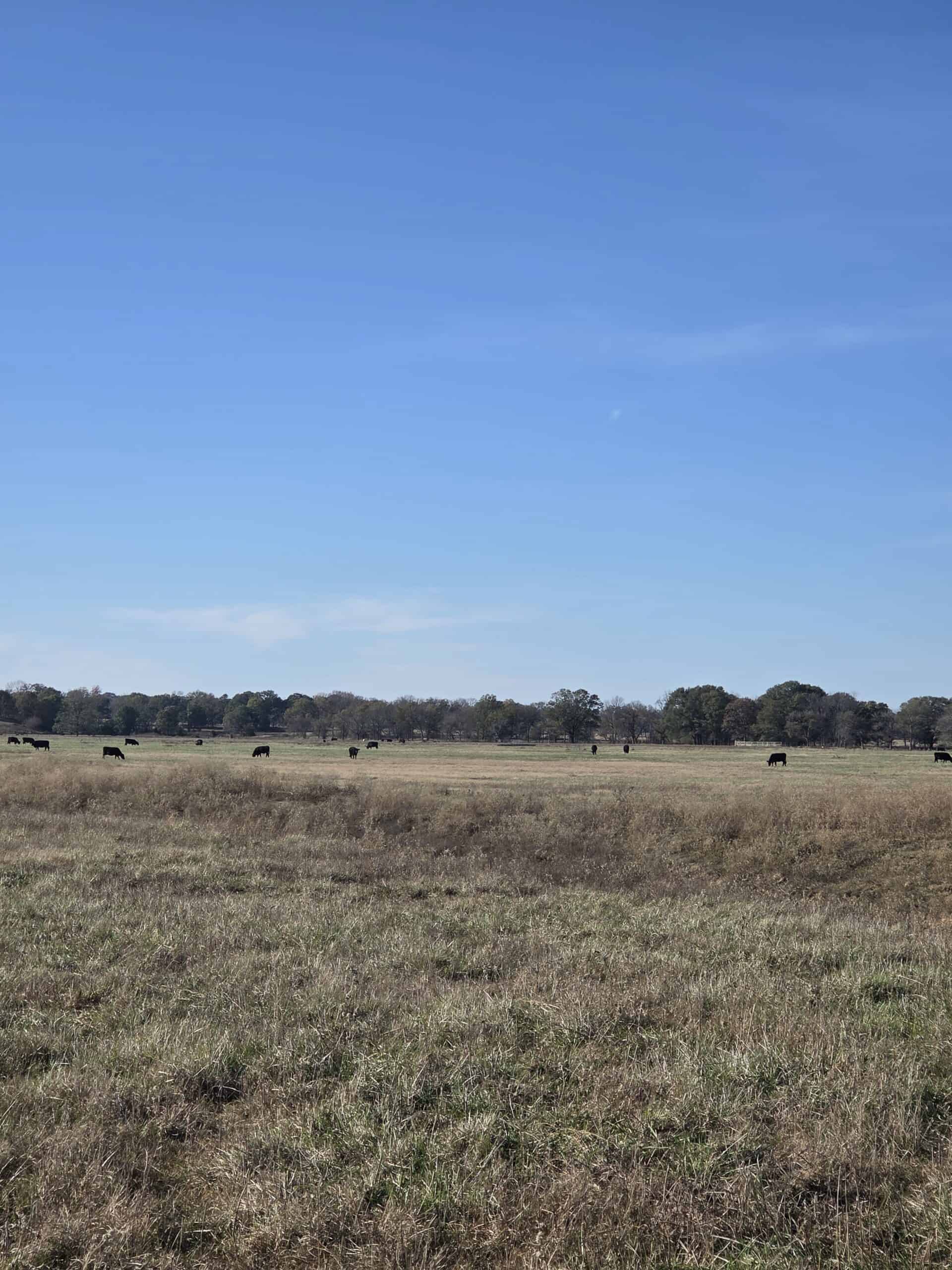 🌾 400 Acres of Prime Ranch Land – McCurtain County, OK