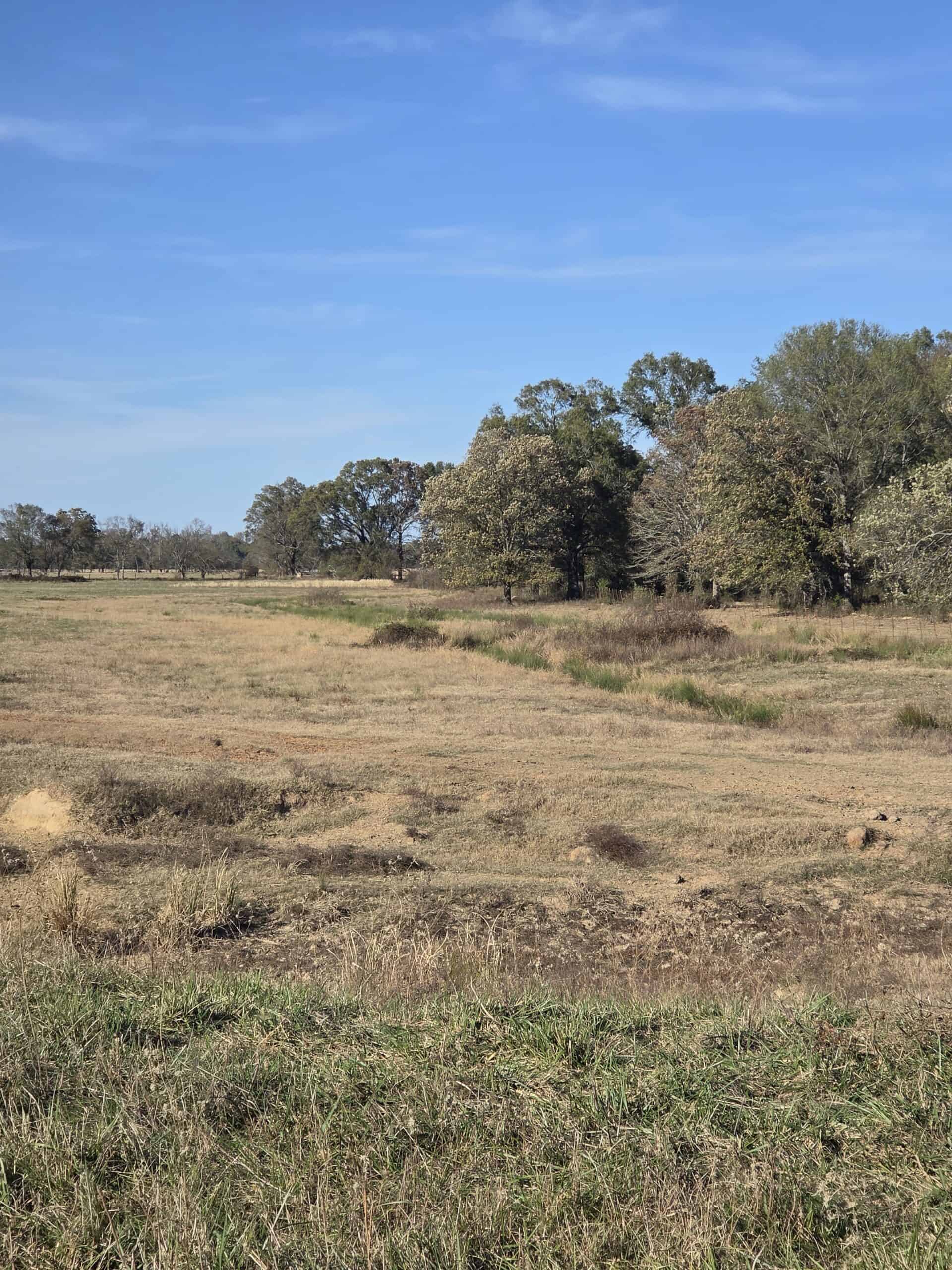 🌾 400 Acres of Prime Ranch Land – McCurtain County, OK