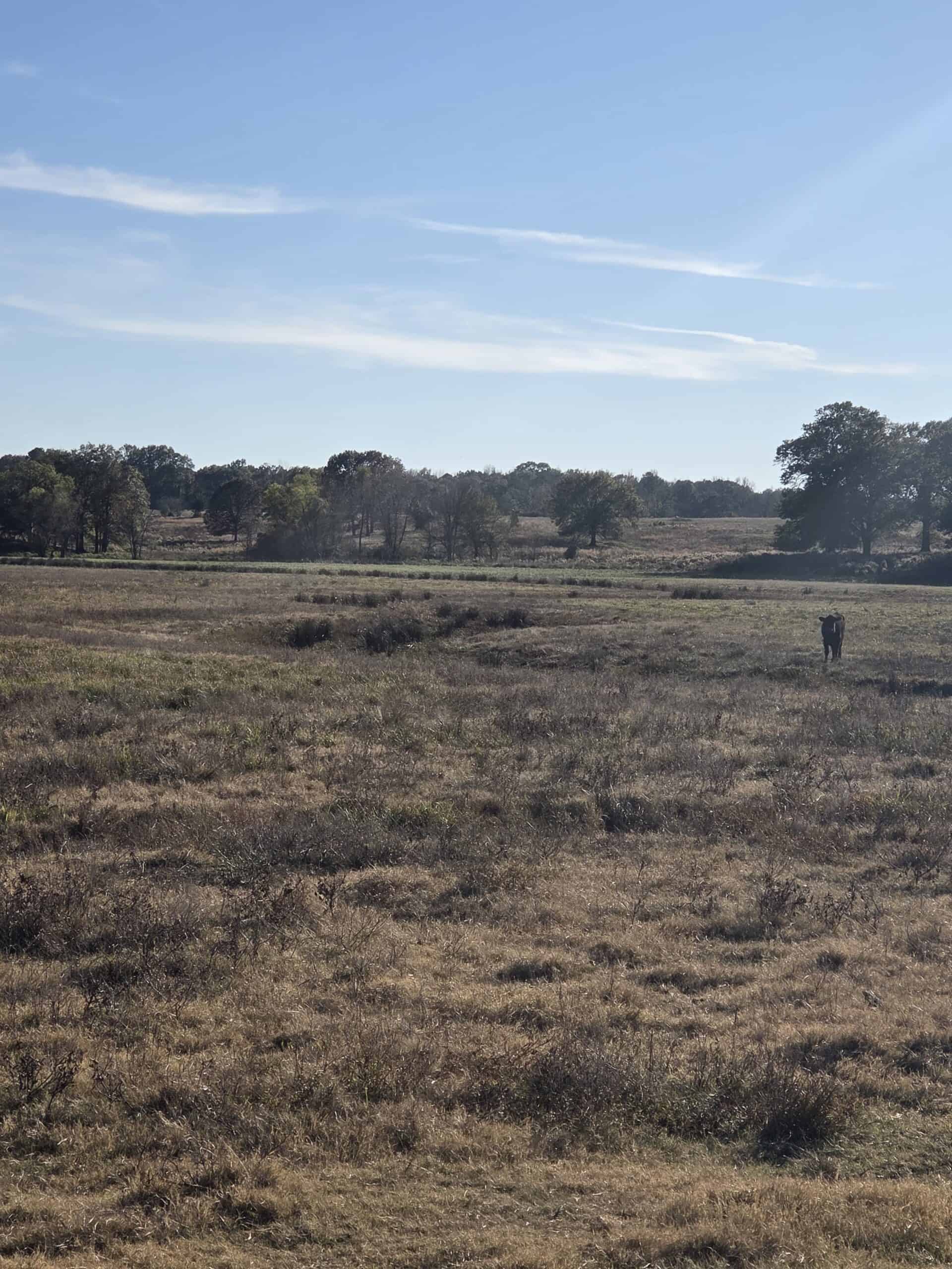 🌾 400 Acres of Prime Ranch Land – McCurtain County, OK