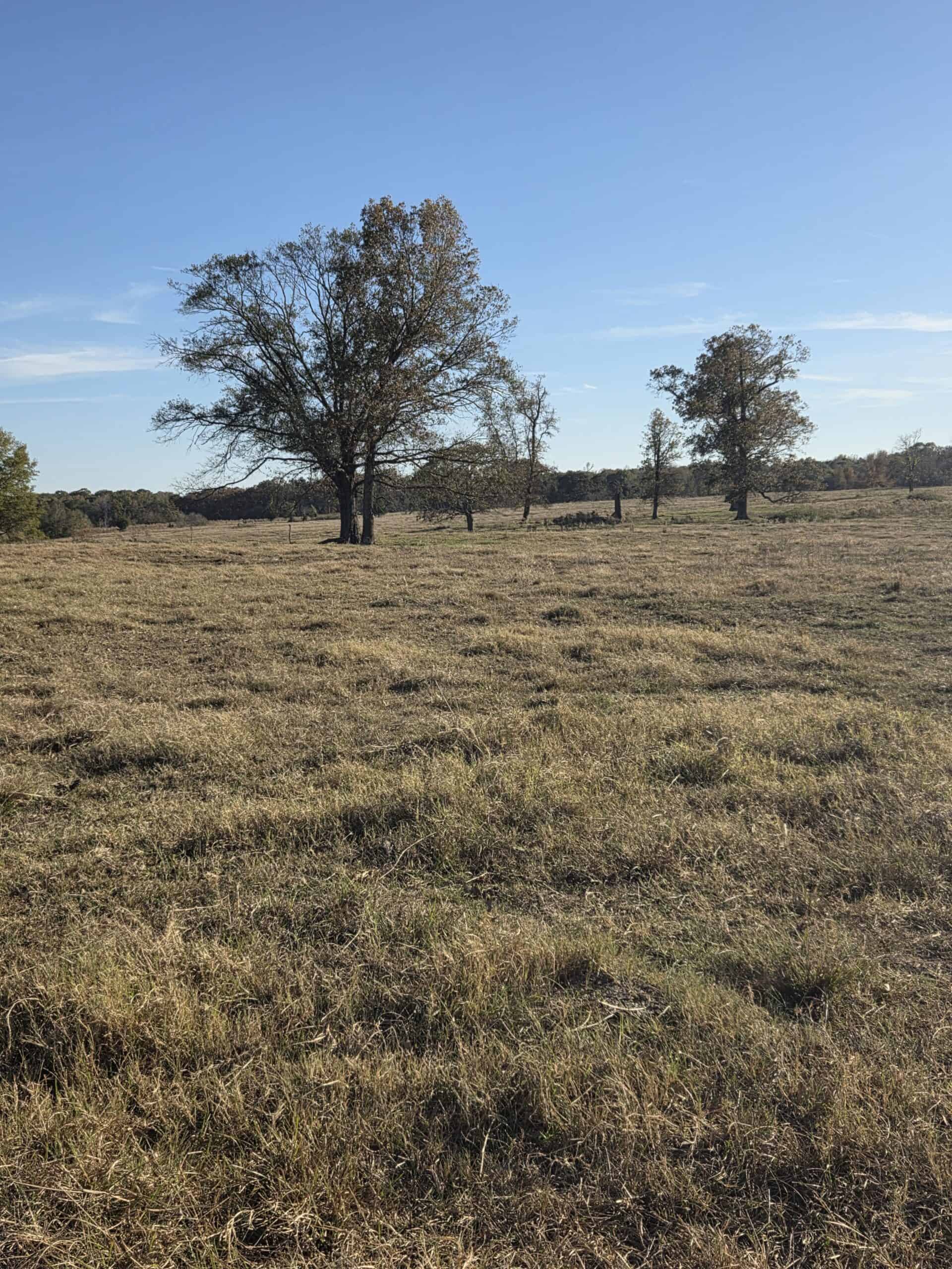 🌾 400 Acres of Prime Ranch Land – McCurtain County, OK