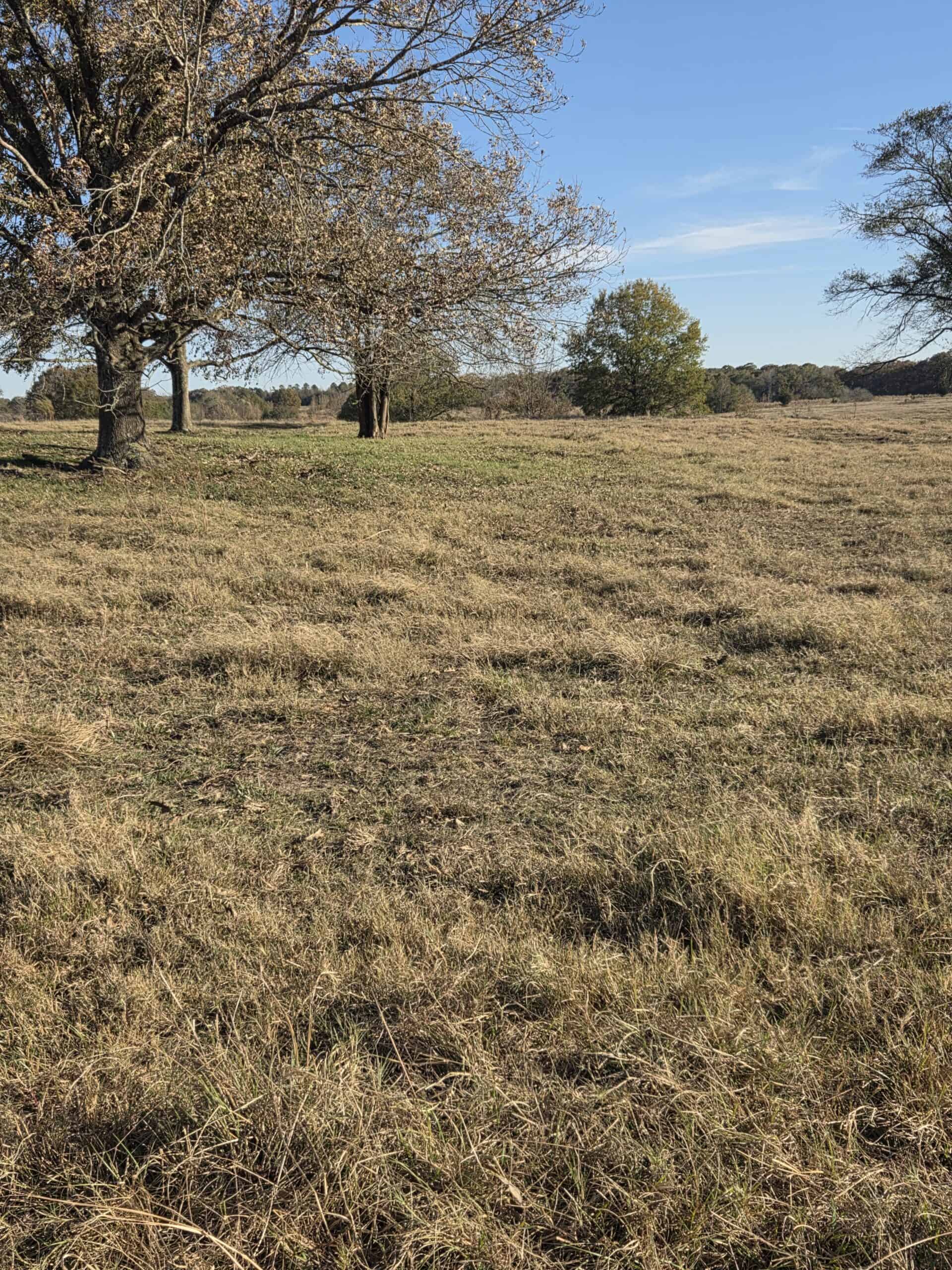 🌾 400 Acres of Prime Ranch Land – McCurtain County, OK