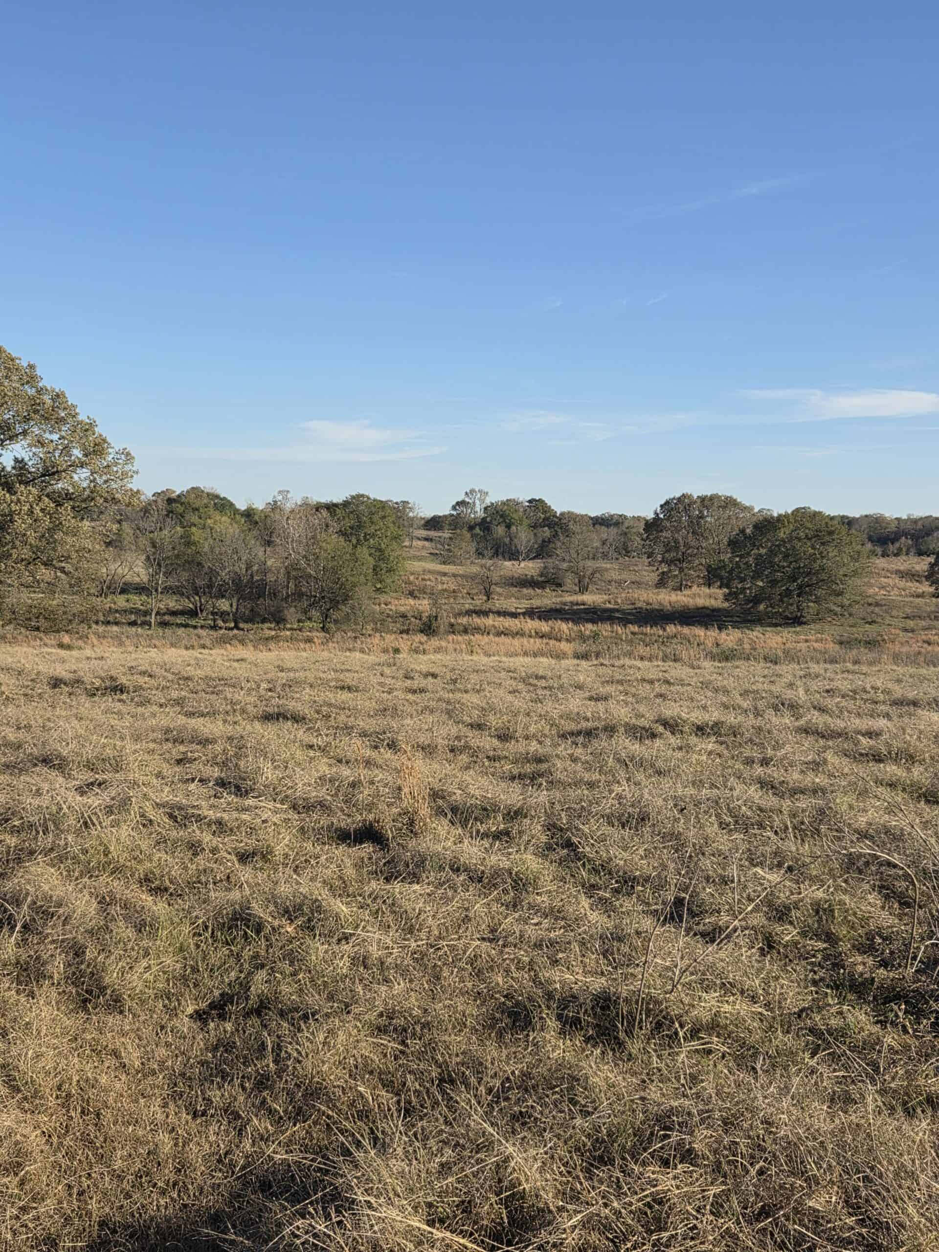 🌾 400 Acres of Prime Ranch Land – McCurtain County, OK