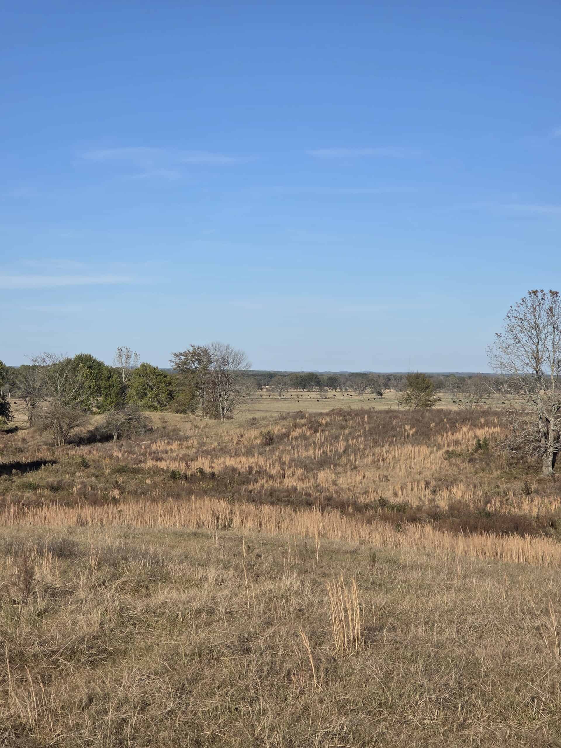 🌾 400 Acres of Prime Ranch Land – McCurtain County, OK