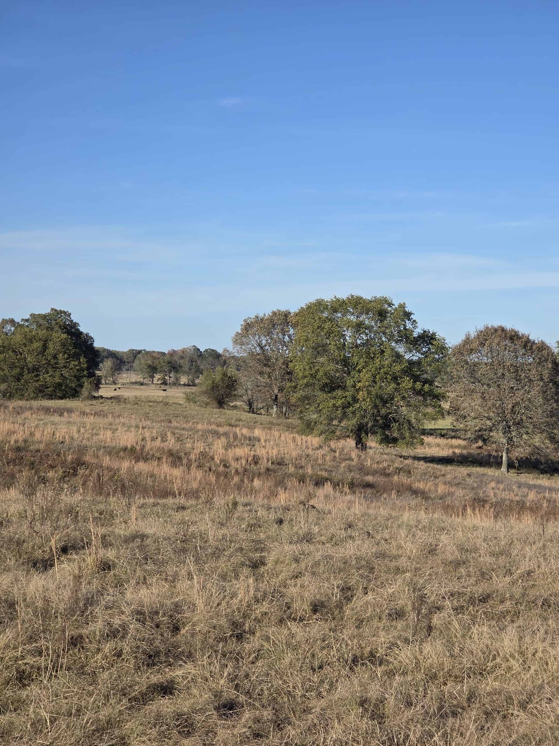 🌾 400 Acres of Prime Ranch Land – McCurtain County, OK