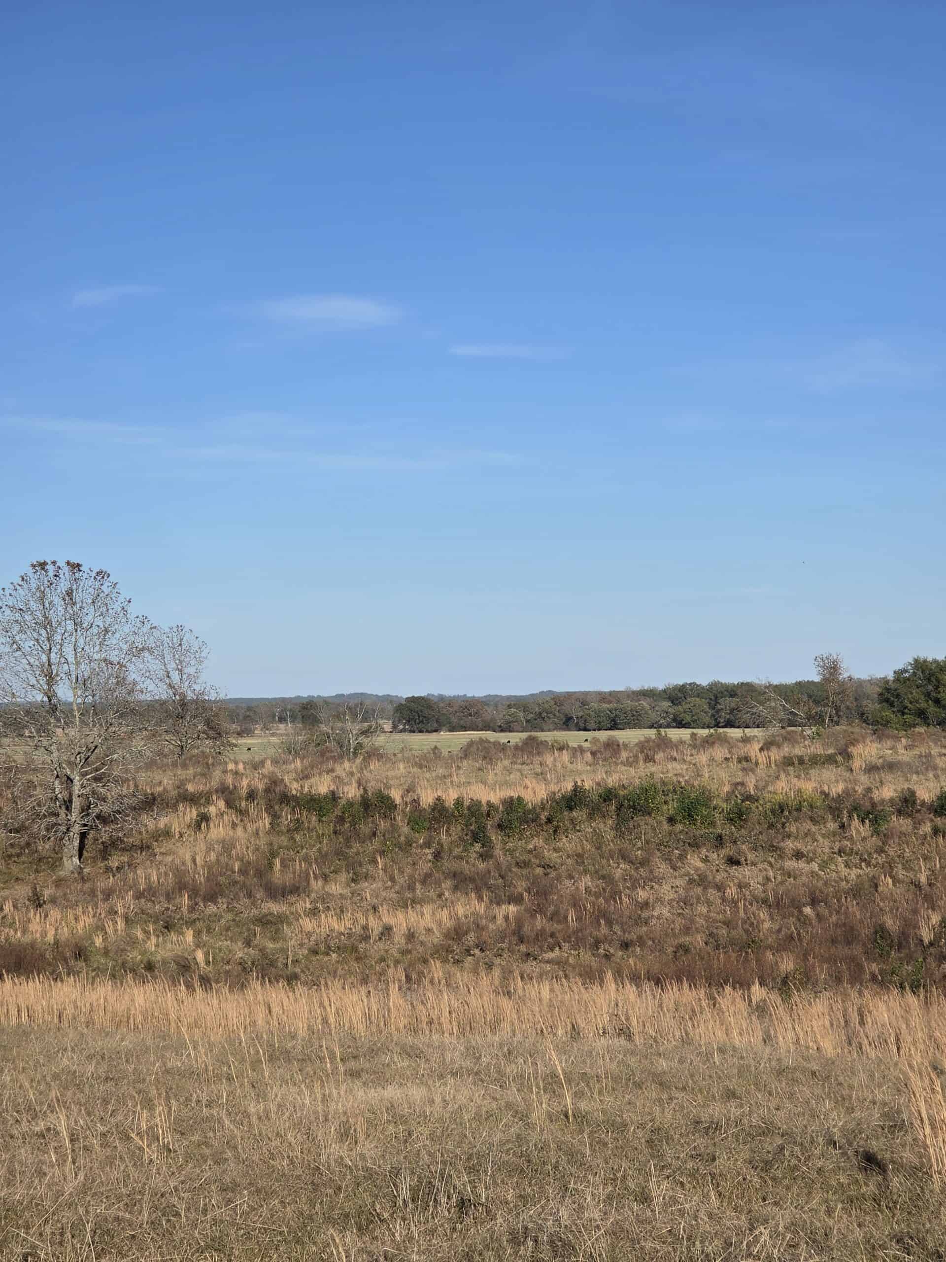 🌾 400 Acres of Prime Ranch Land – McCurtain County, OK