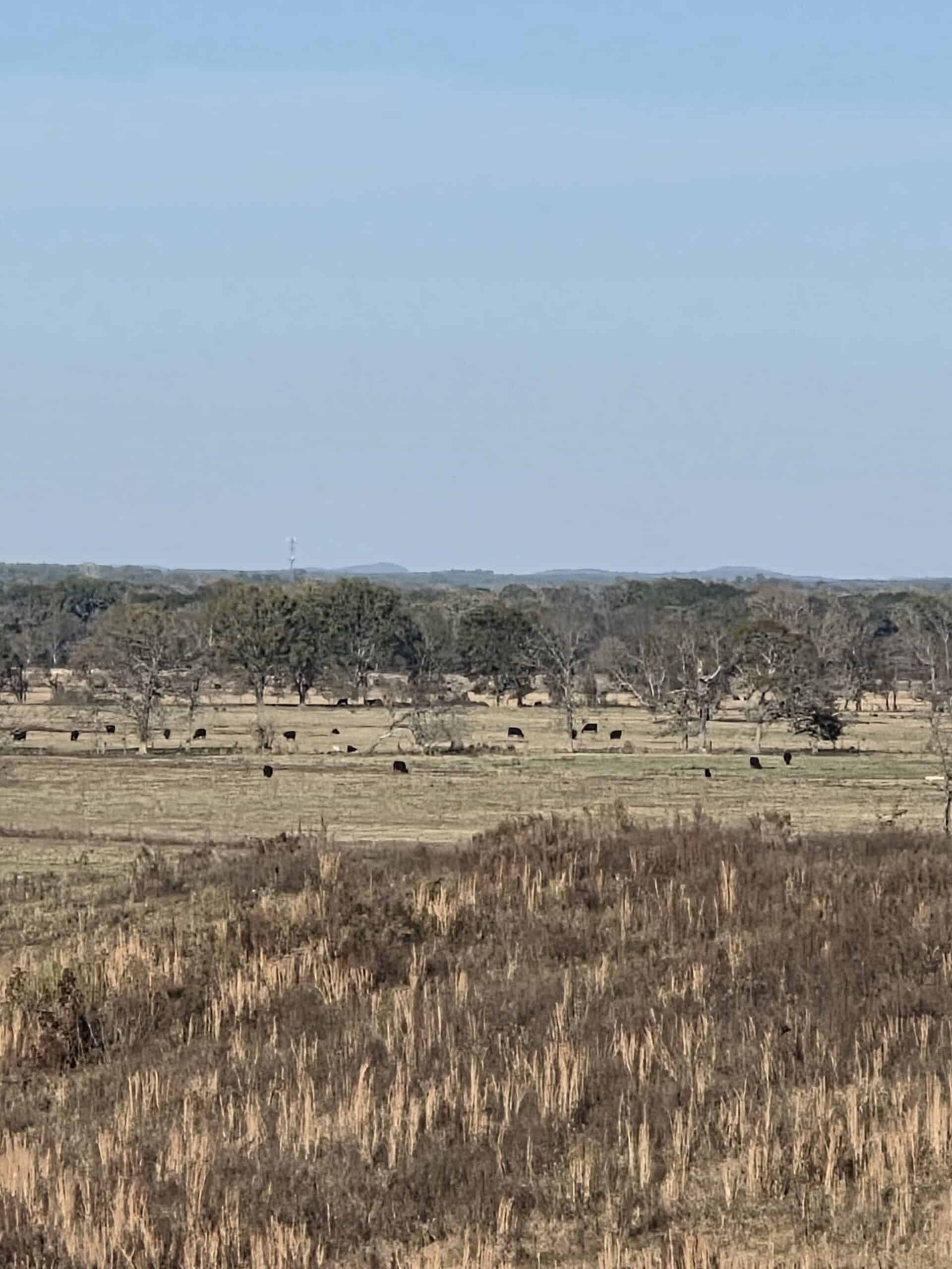 🌾 400 Acres of Prime Ranch Land – McCurtain County, OK