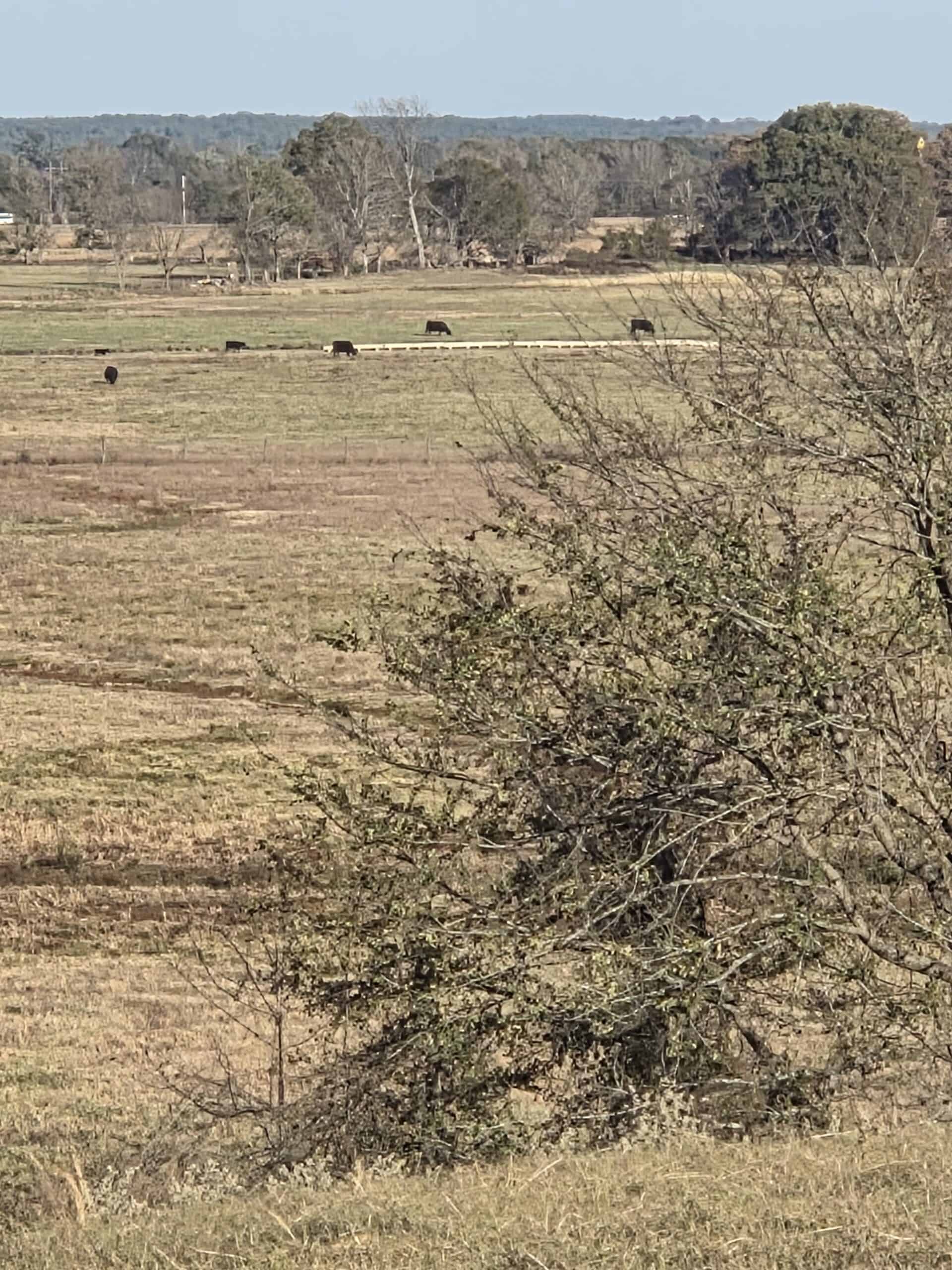 🌾 400 Acres of Prime Ranch Land – McCurtain County, OK