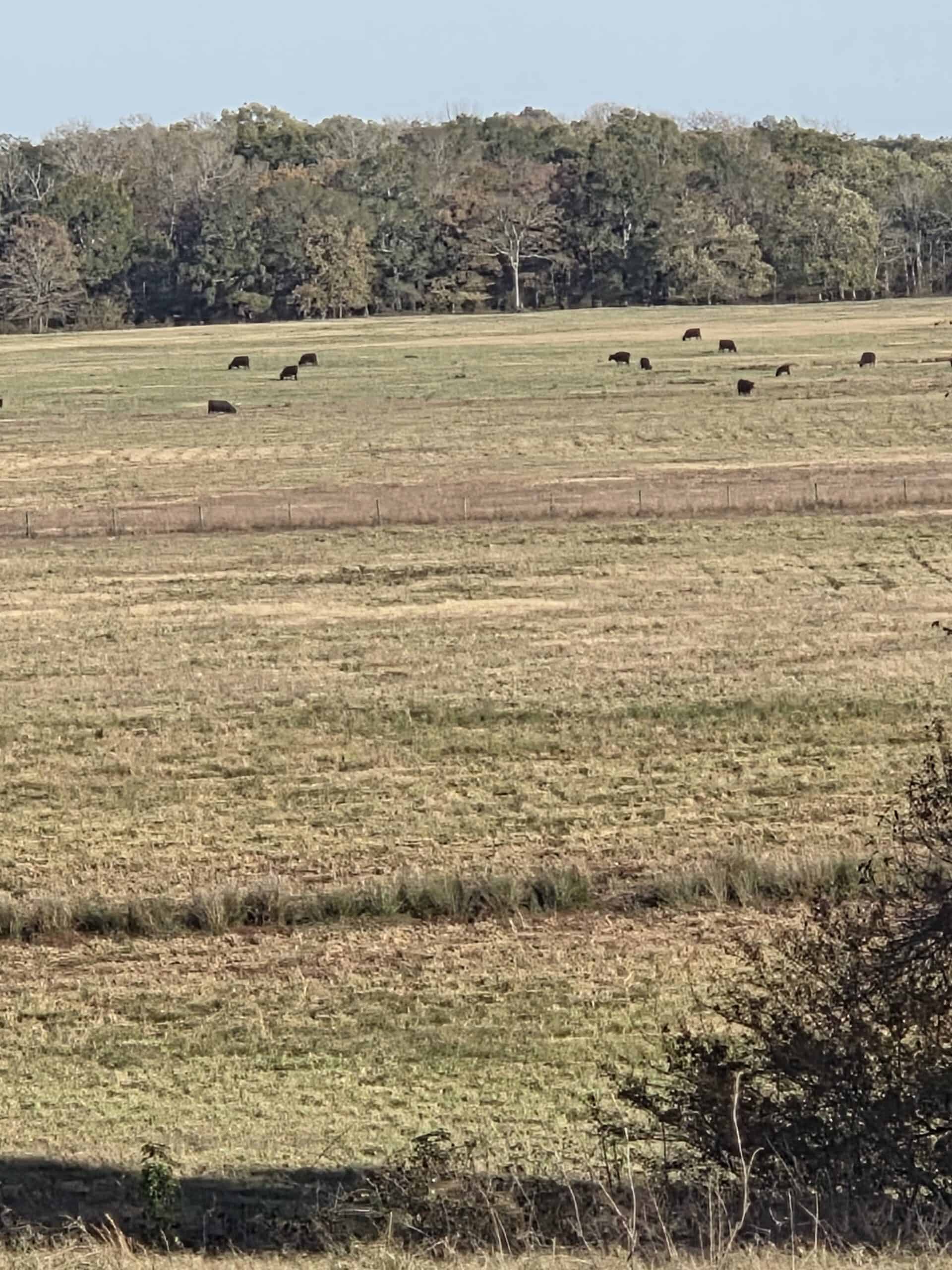 🌾 400 Acres of Prime Ranch Land – McCurtain County, OK