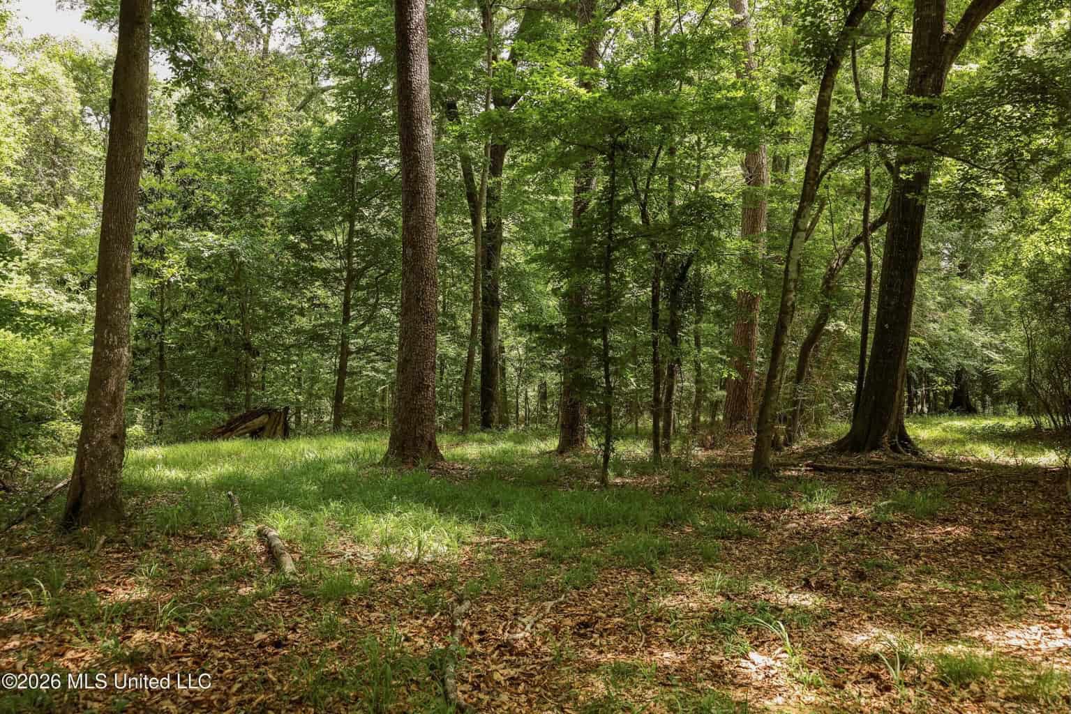 108+- Acres on the Bogue Chitto River Summit, Mississippi