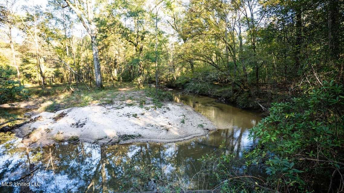 233-Acre Paradise on the Tickfaw River, Osyka, Amite County, MS